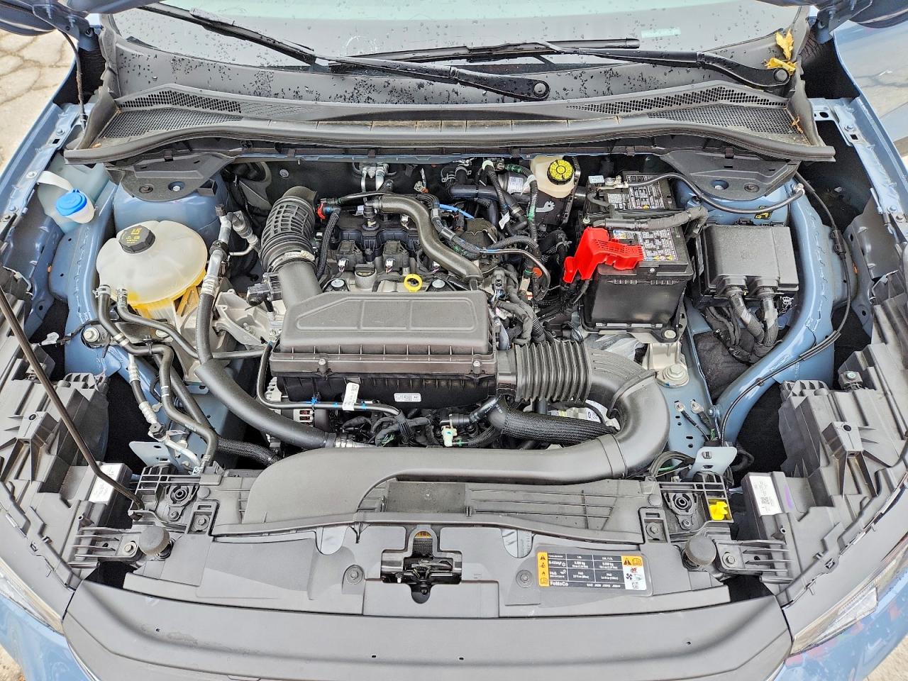 Ford Escape Active