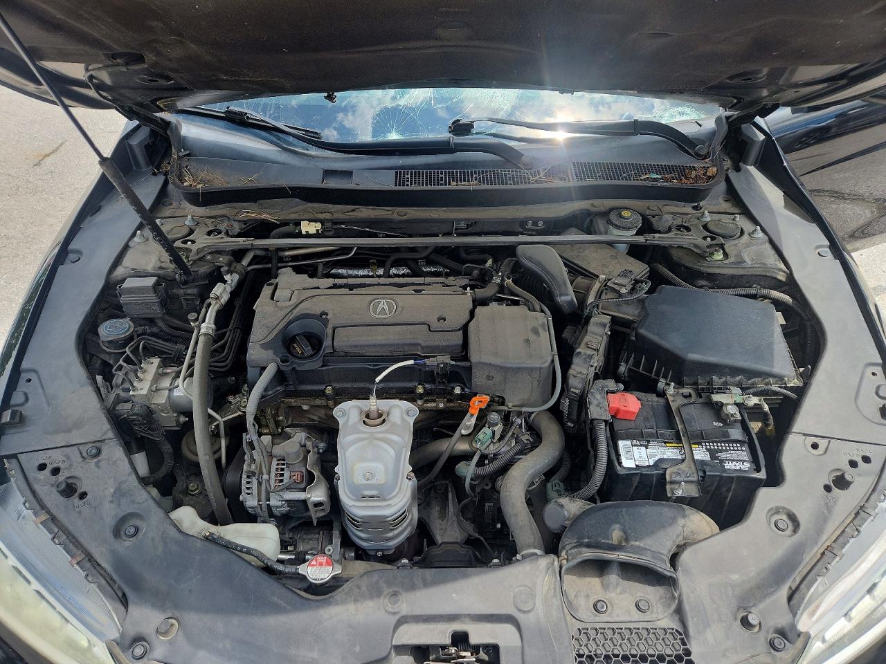 Acura TLX