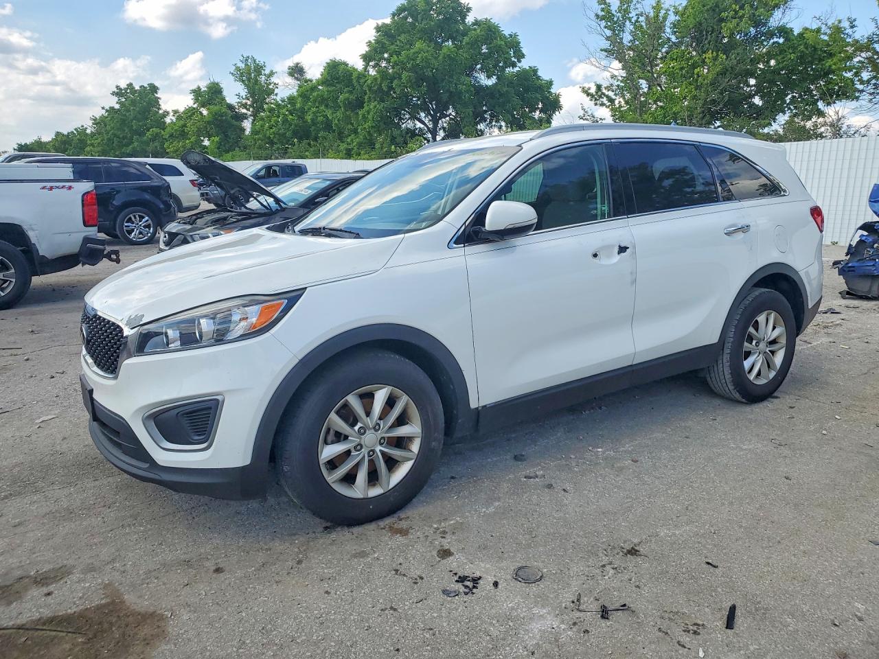 Salvage Kia Sorento Image