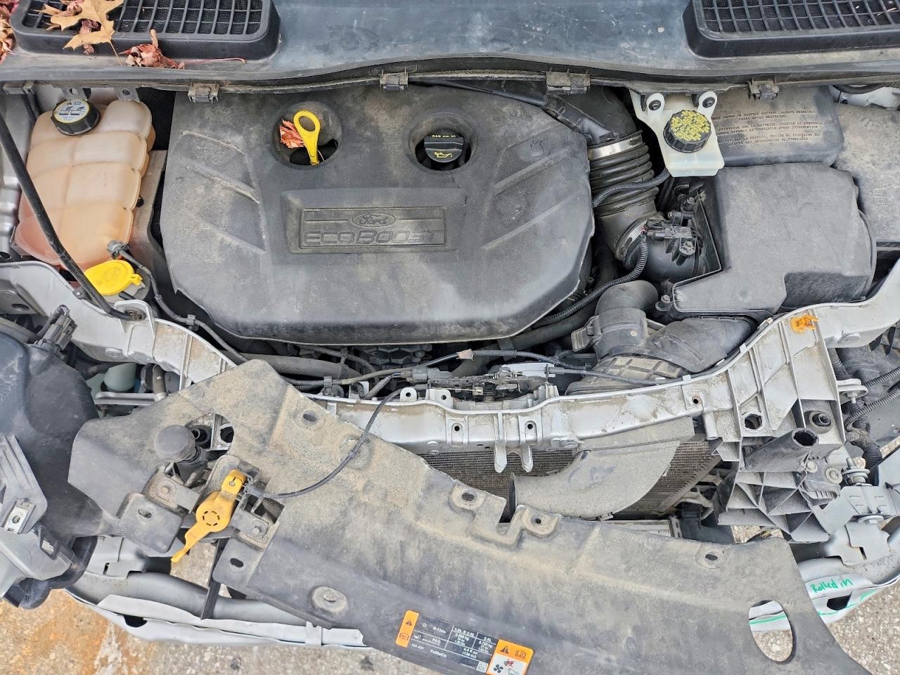Ford Escape Sel