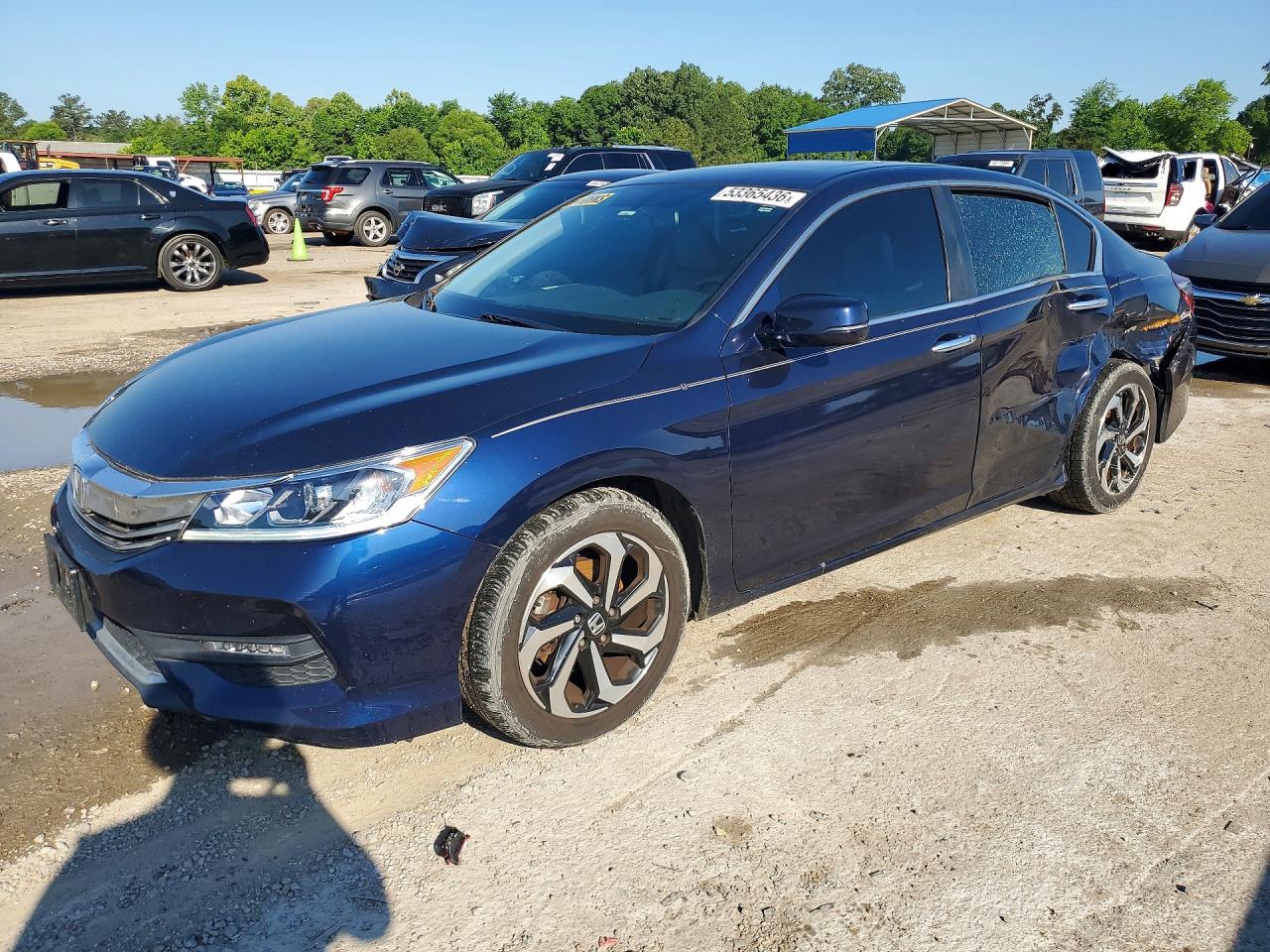 Salvage Honda Accord Image