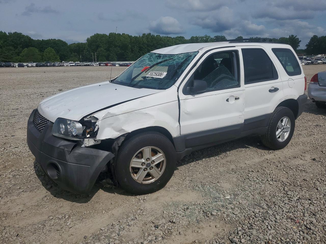 Salvage Ford Escape Image