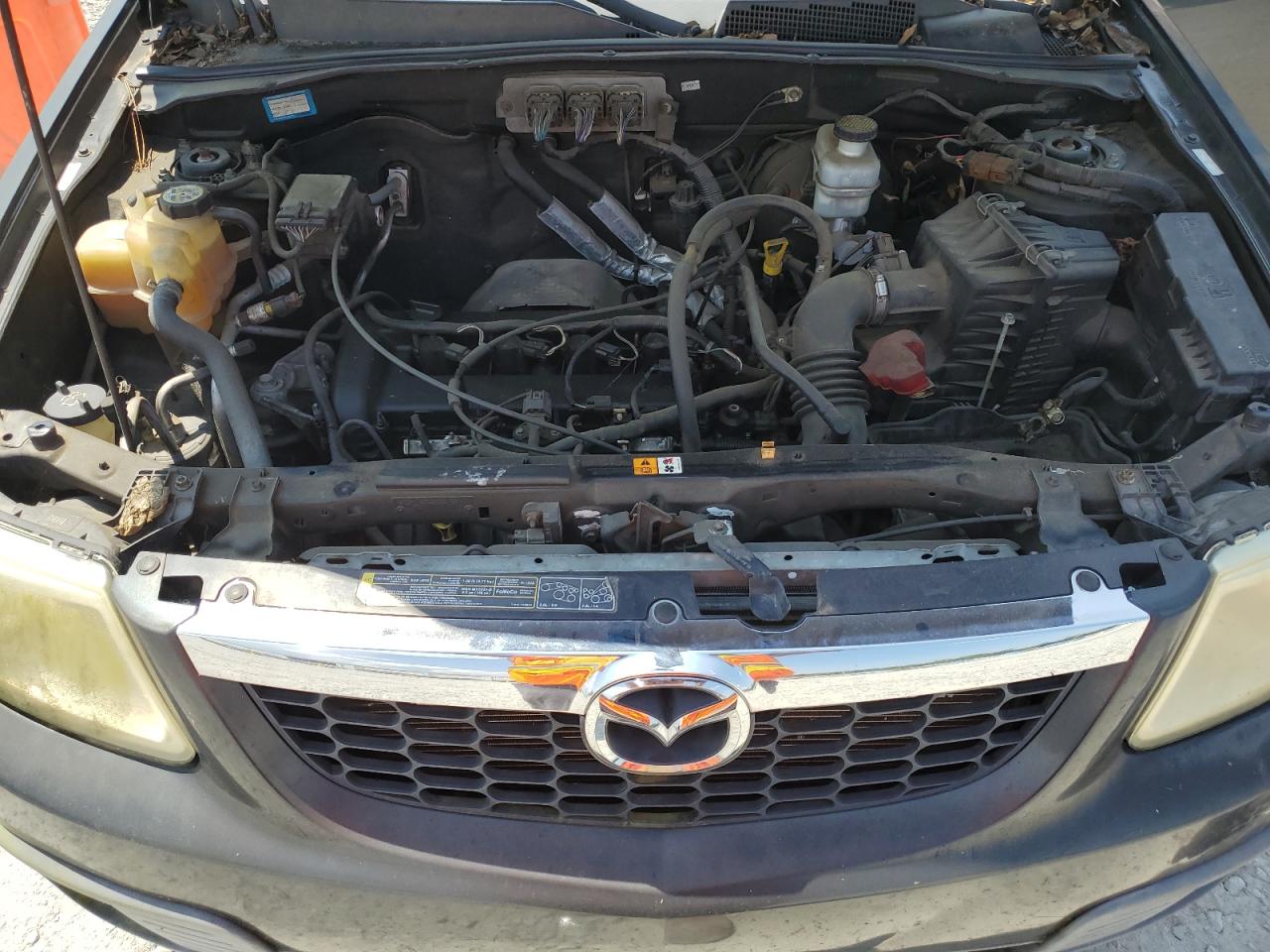 Mazda Tribute
