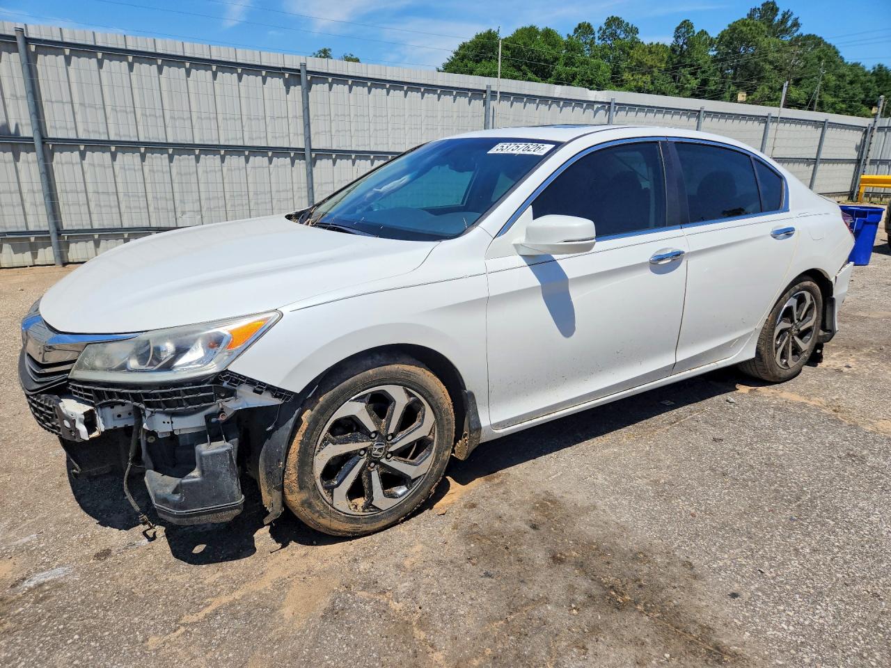 Salvage Honda Accord Image