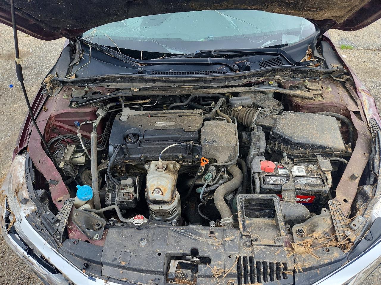 Honda Accord Sport