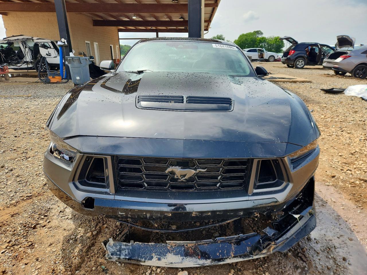 Ford Mustang Dark Horse