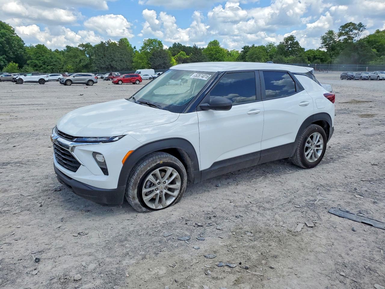 Salvage Chevrolet Trailblaze Image