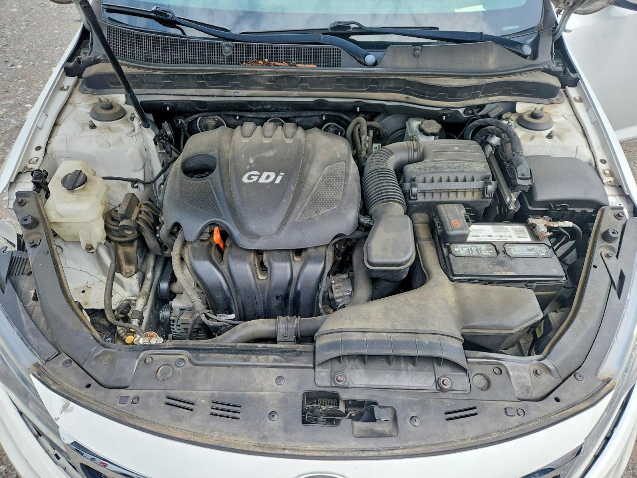 Kia Olx