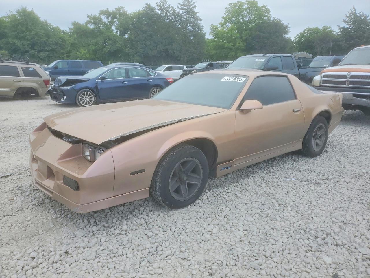 Salvage Chevrolet Camaro Image