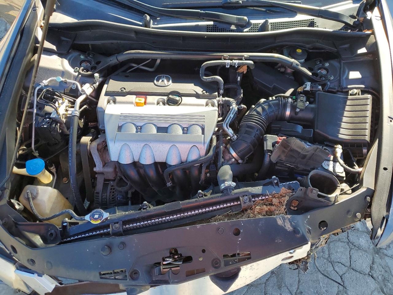 Acura TSX