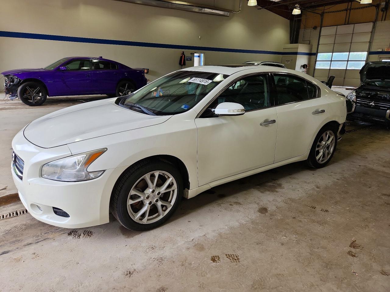 Salvage Nissan Maxima Image