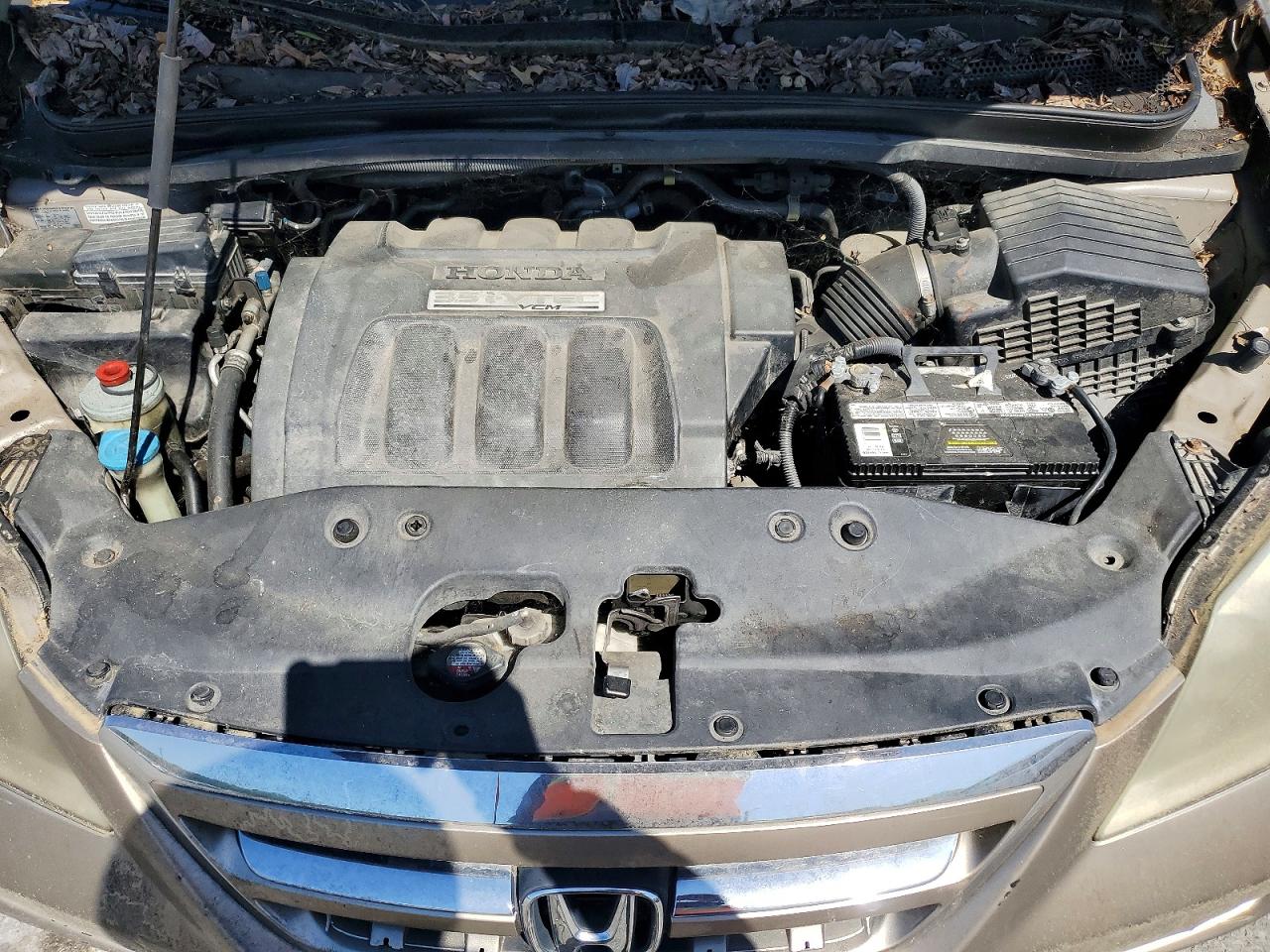 Honda Odyssey Exl