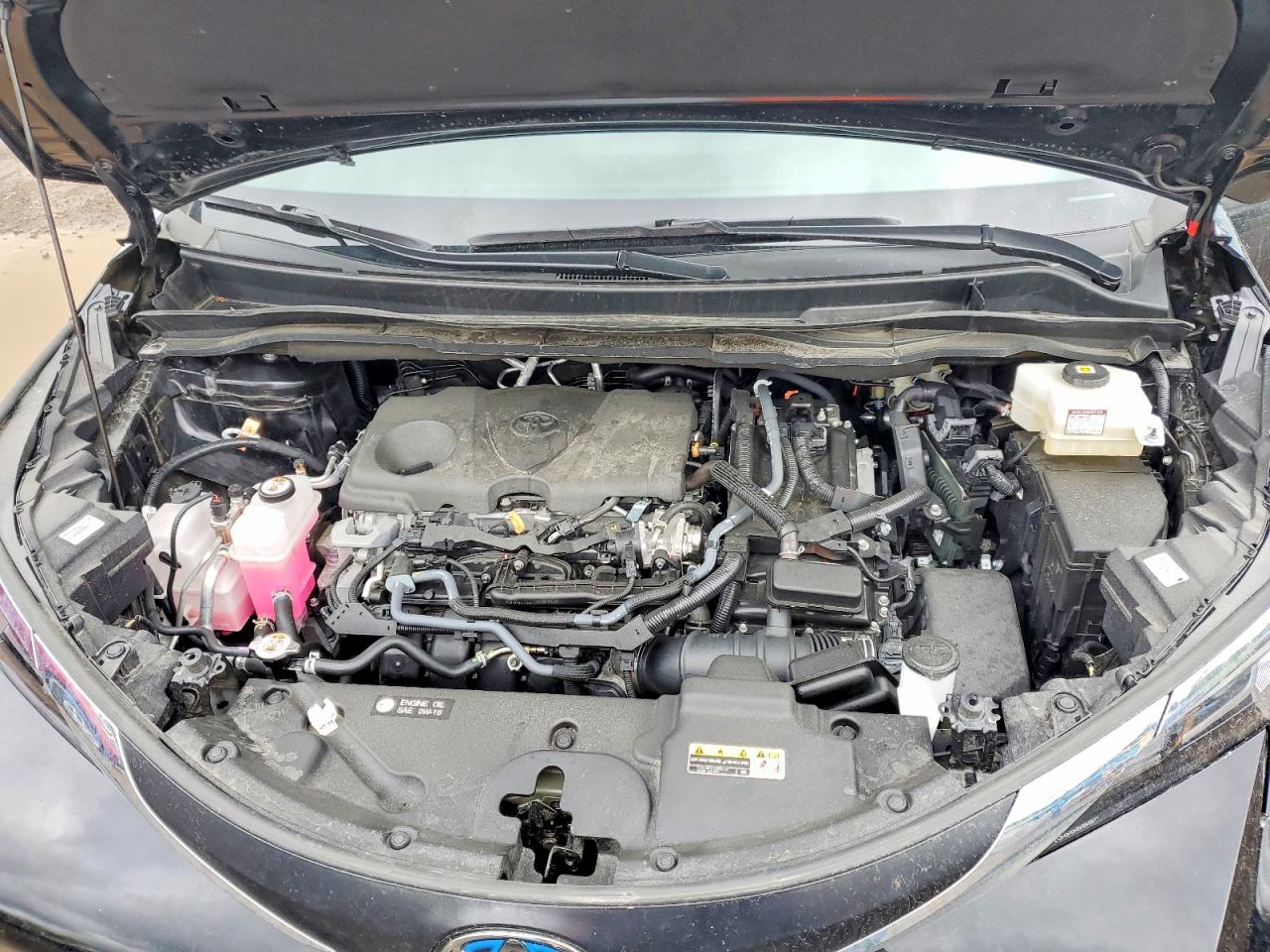 Toyota Sienna Le