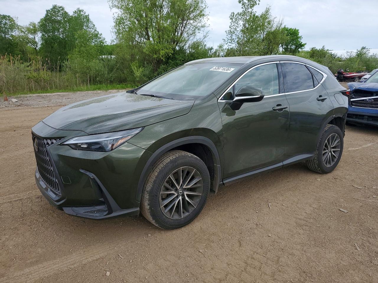 Salvage Lexus NX Image