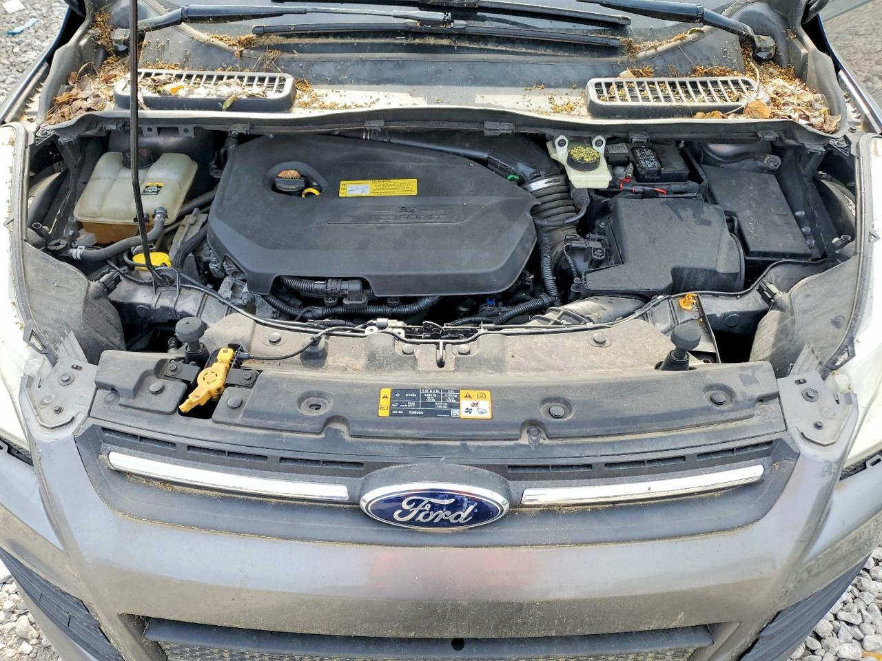 Ford Escape Se