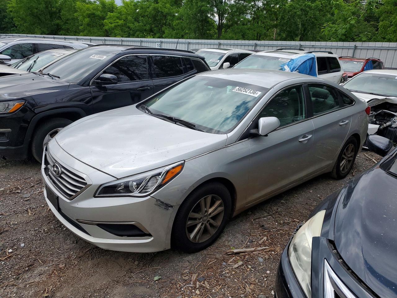 Salvage Hyundai SONATA Image