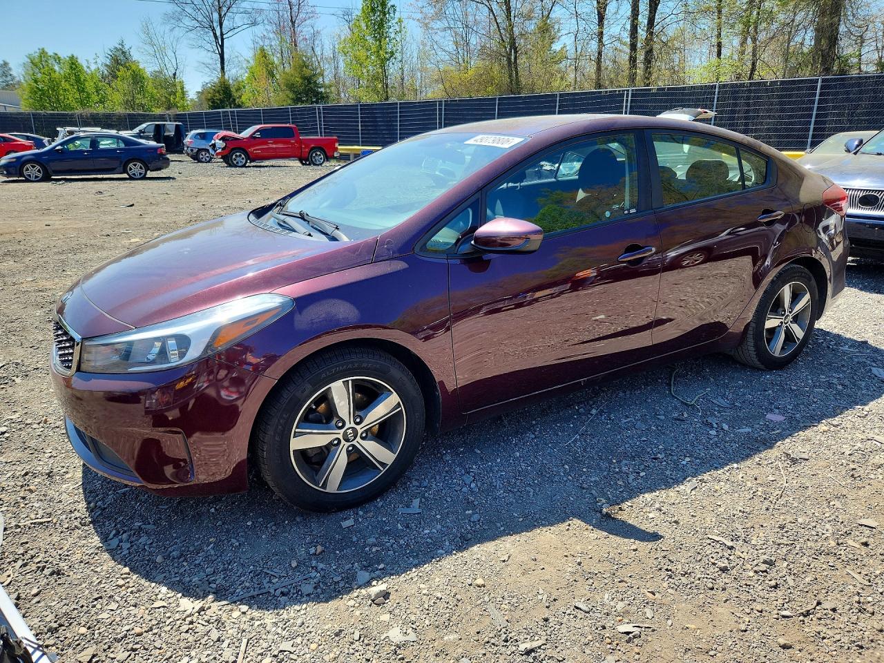 Salvage Kia Forte Image
