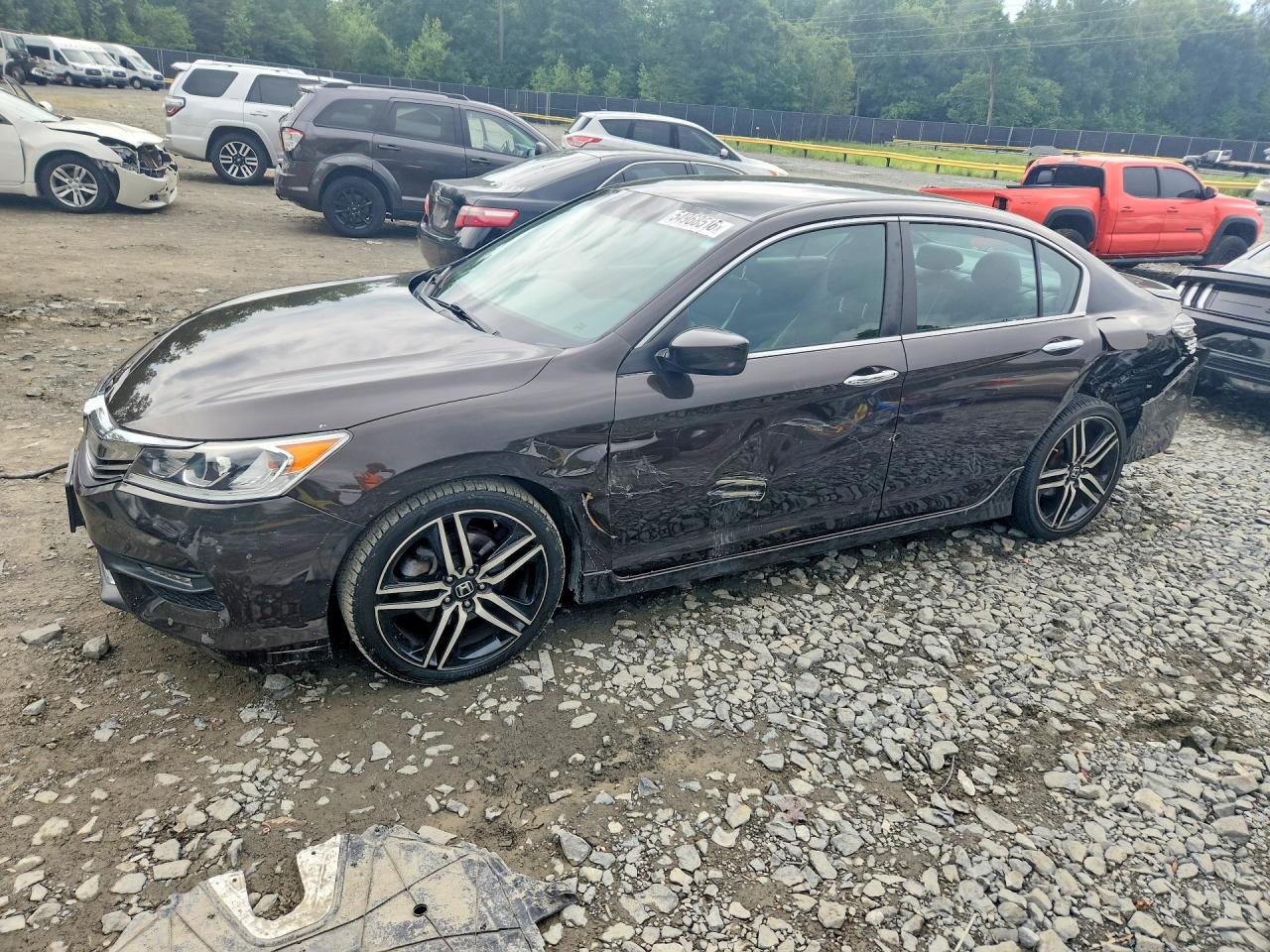 Salvage Honda Accord Image