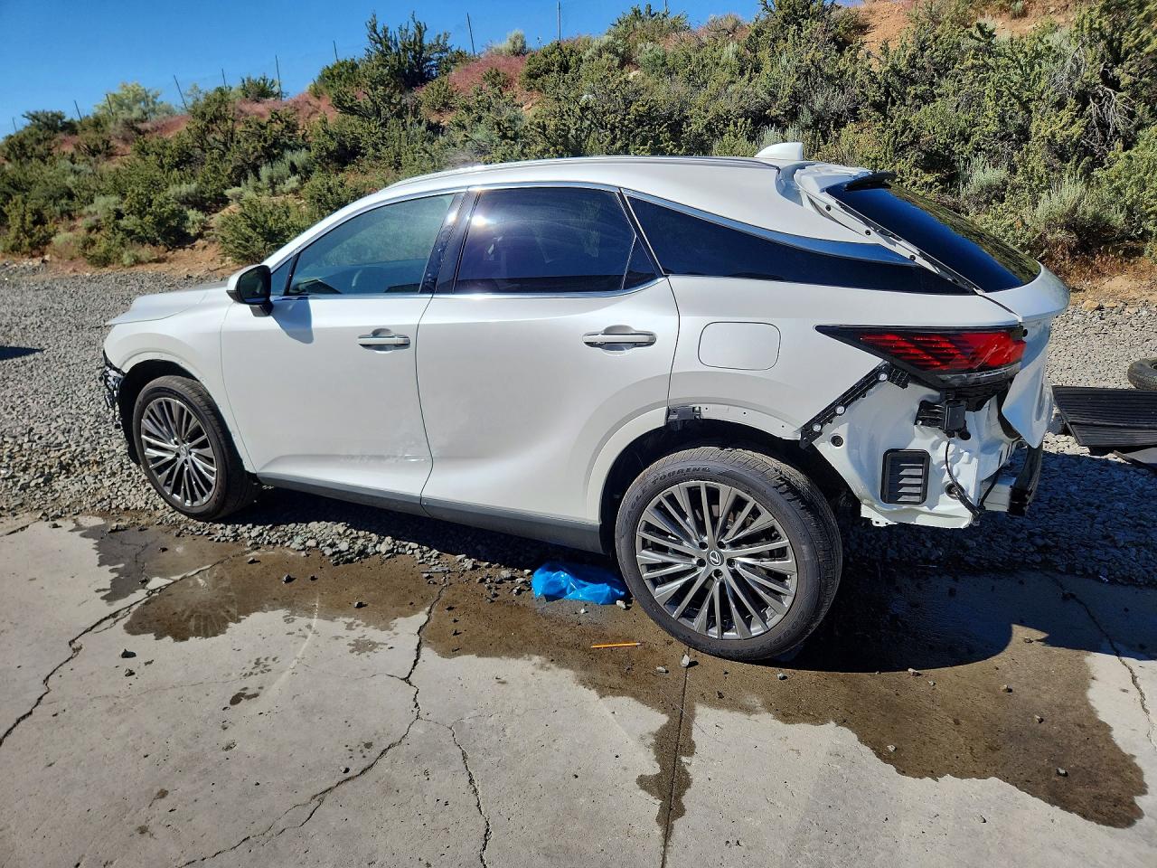 Lexus RX Luxury
