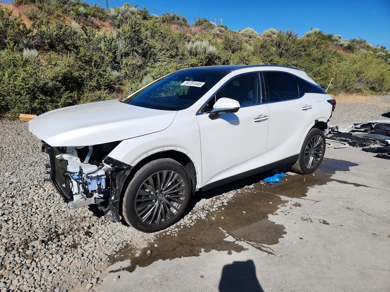 Salvage Lexus RX Image