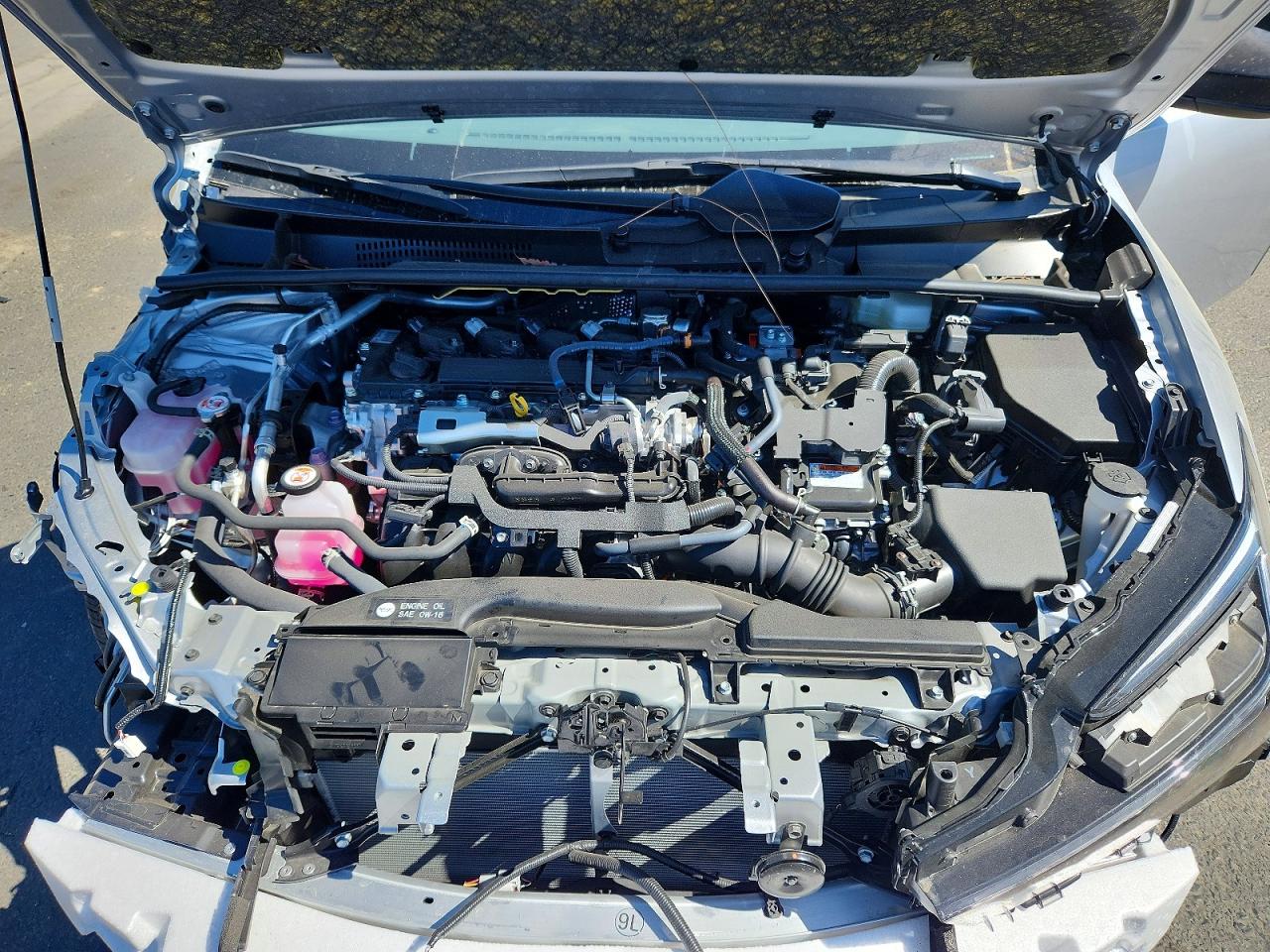 Toyota Prius Xle