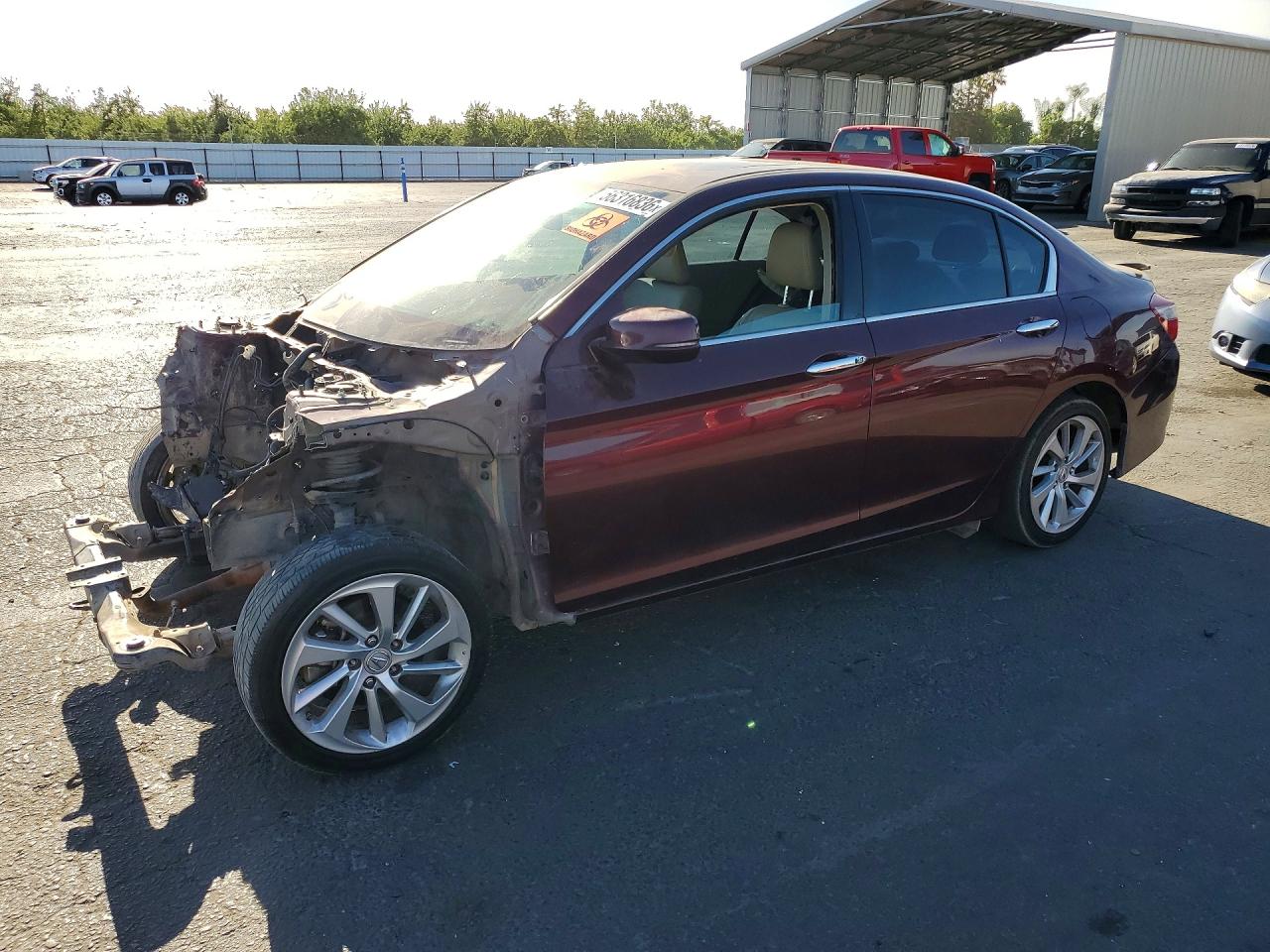 Salvage Honda Accord Image