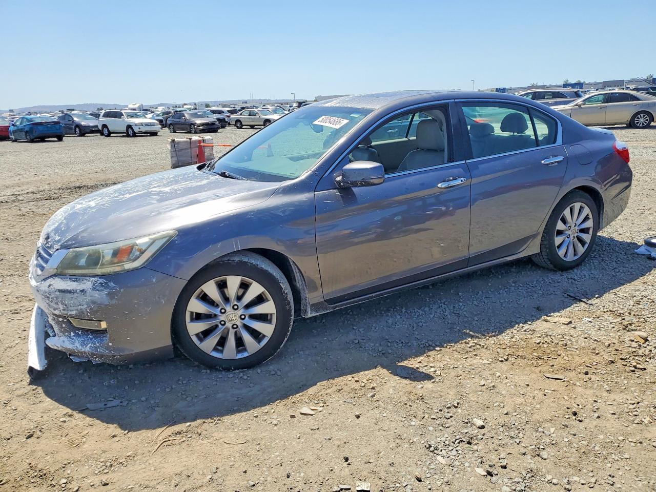Salvage Honda Accord Image