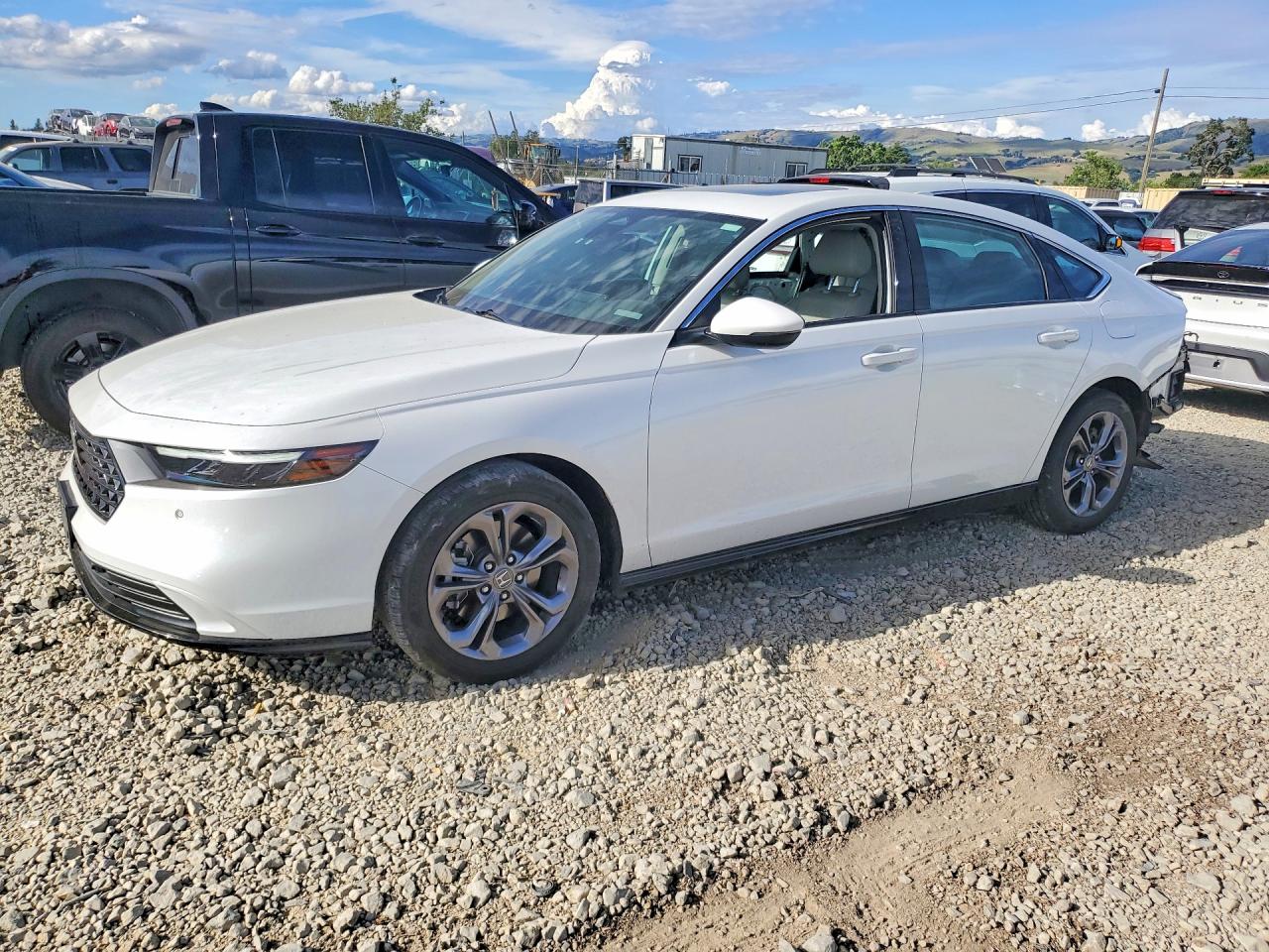 Salvage Honda Accord Image