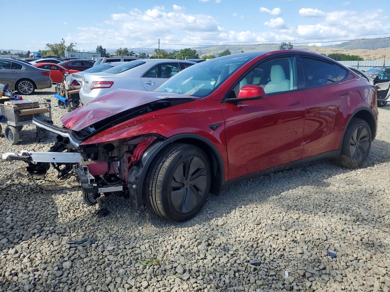 Salvage Tesla Model Y Image