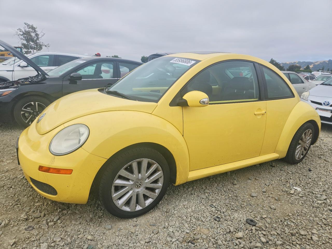 Salvage Volkswagen Beetle Image