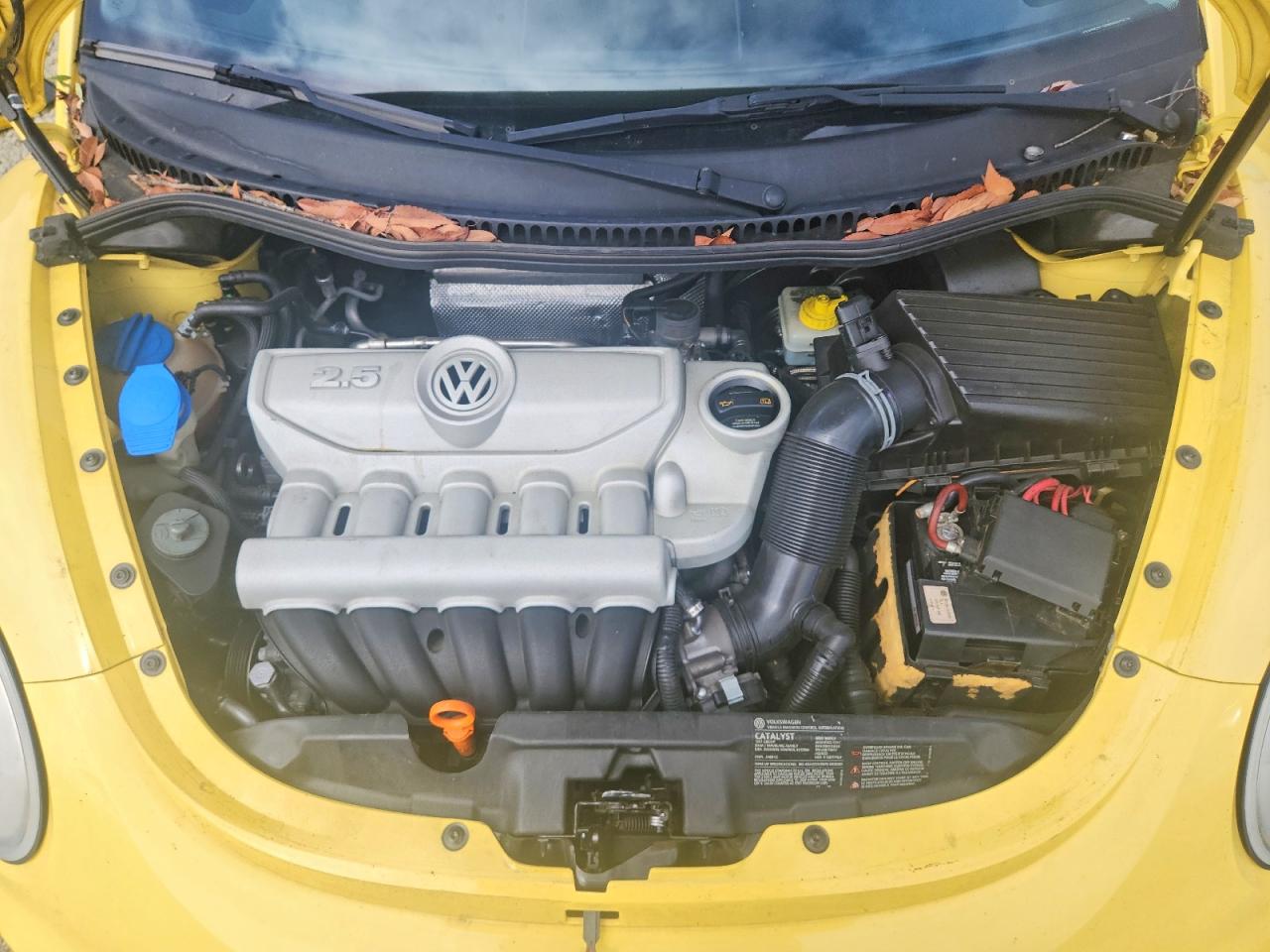 Volkswagen Beetle S