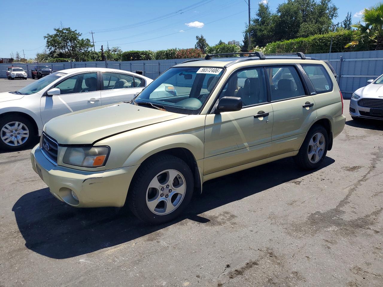 Salvage Subaru Forester Image