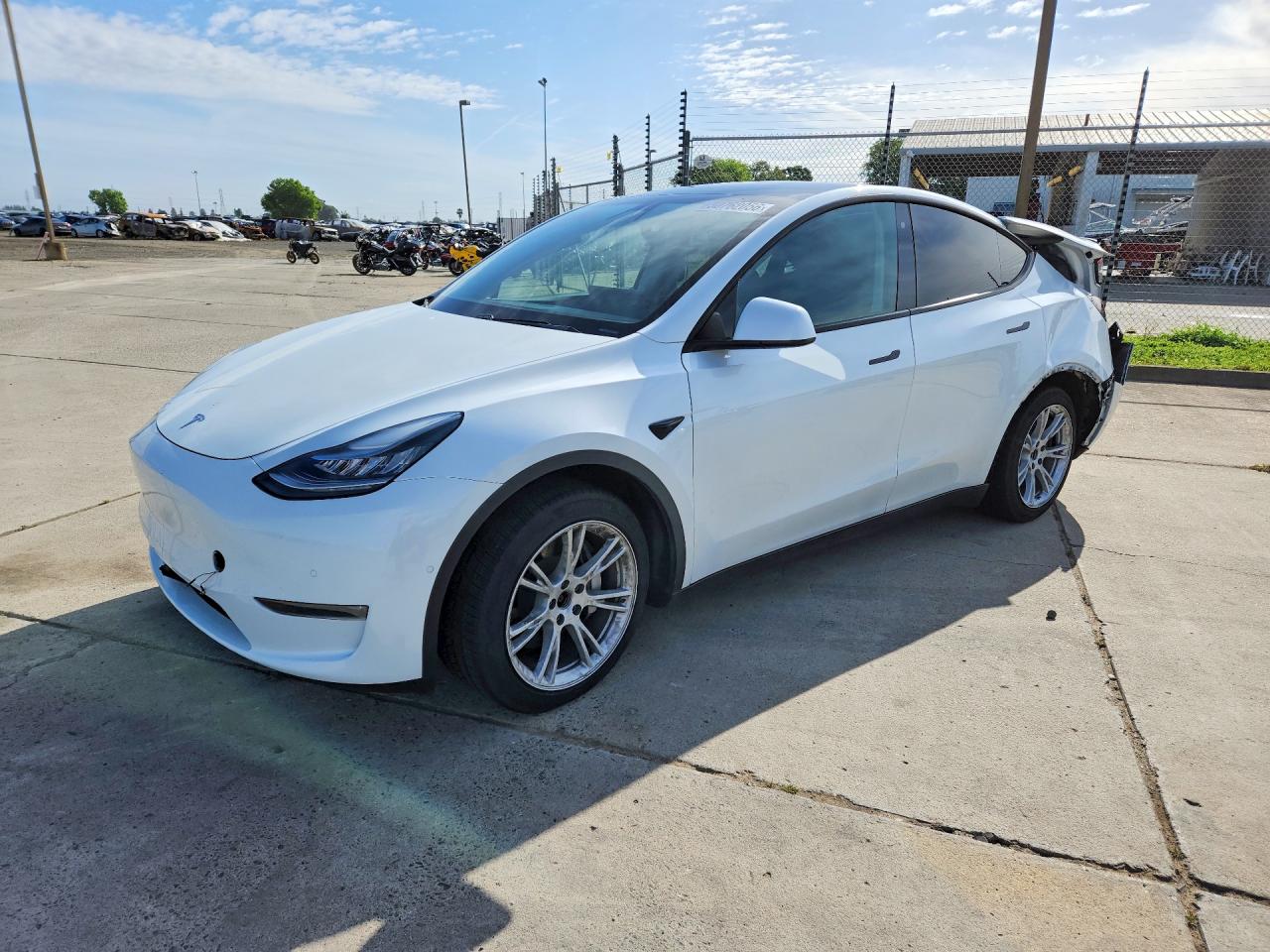 Salvage Tesla Model Y Image