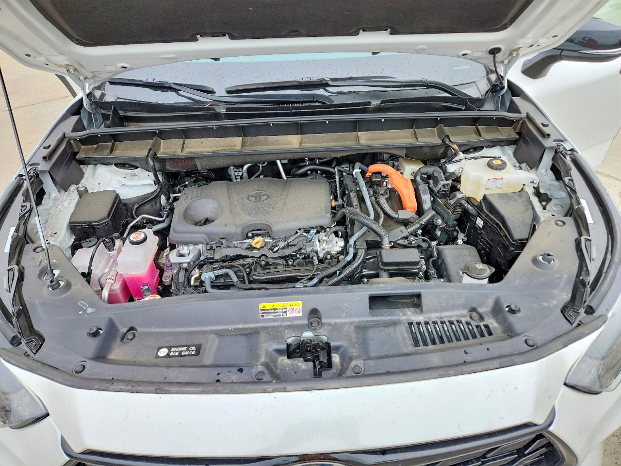 Toyota Highlander Xle Nightshade