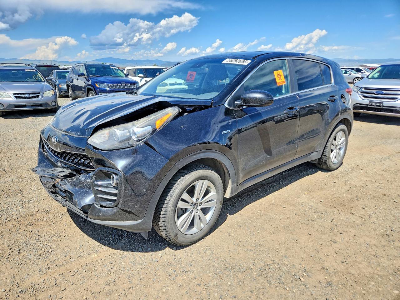 Salvage Kia Sportage Image