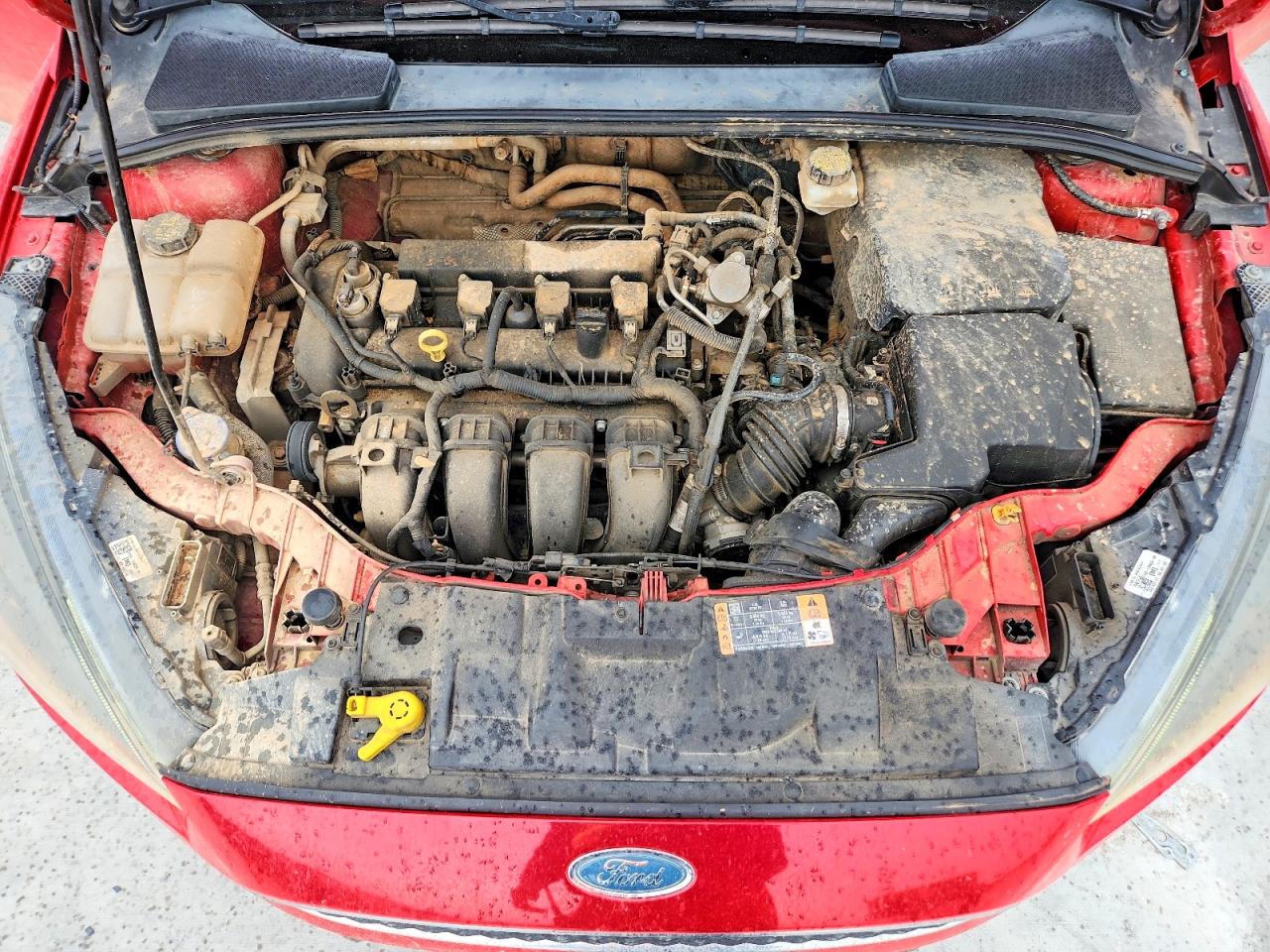 Ford Focus Sel