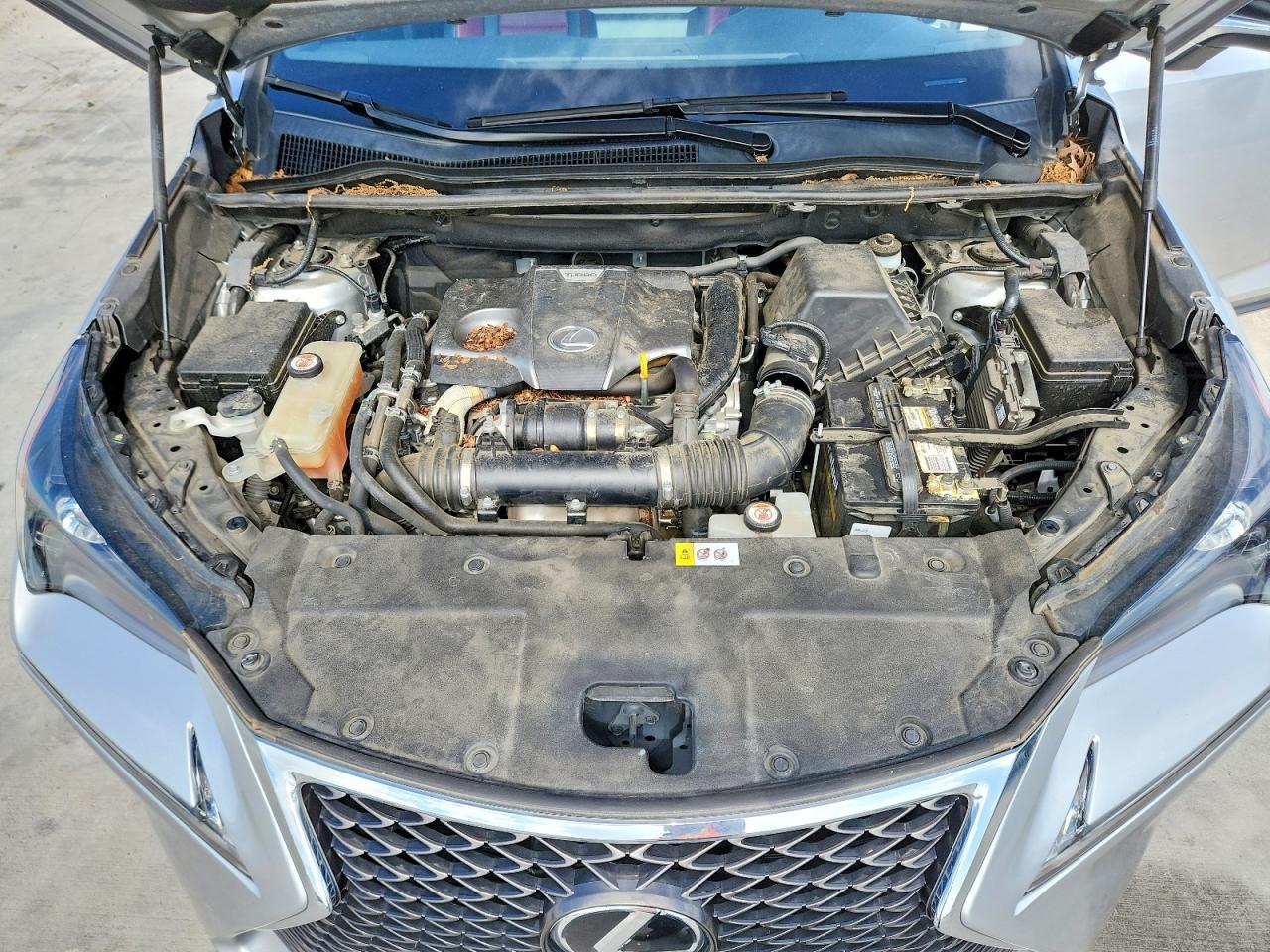 Lexus NX F Sport