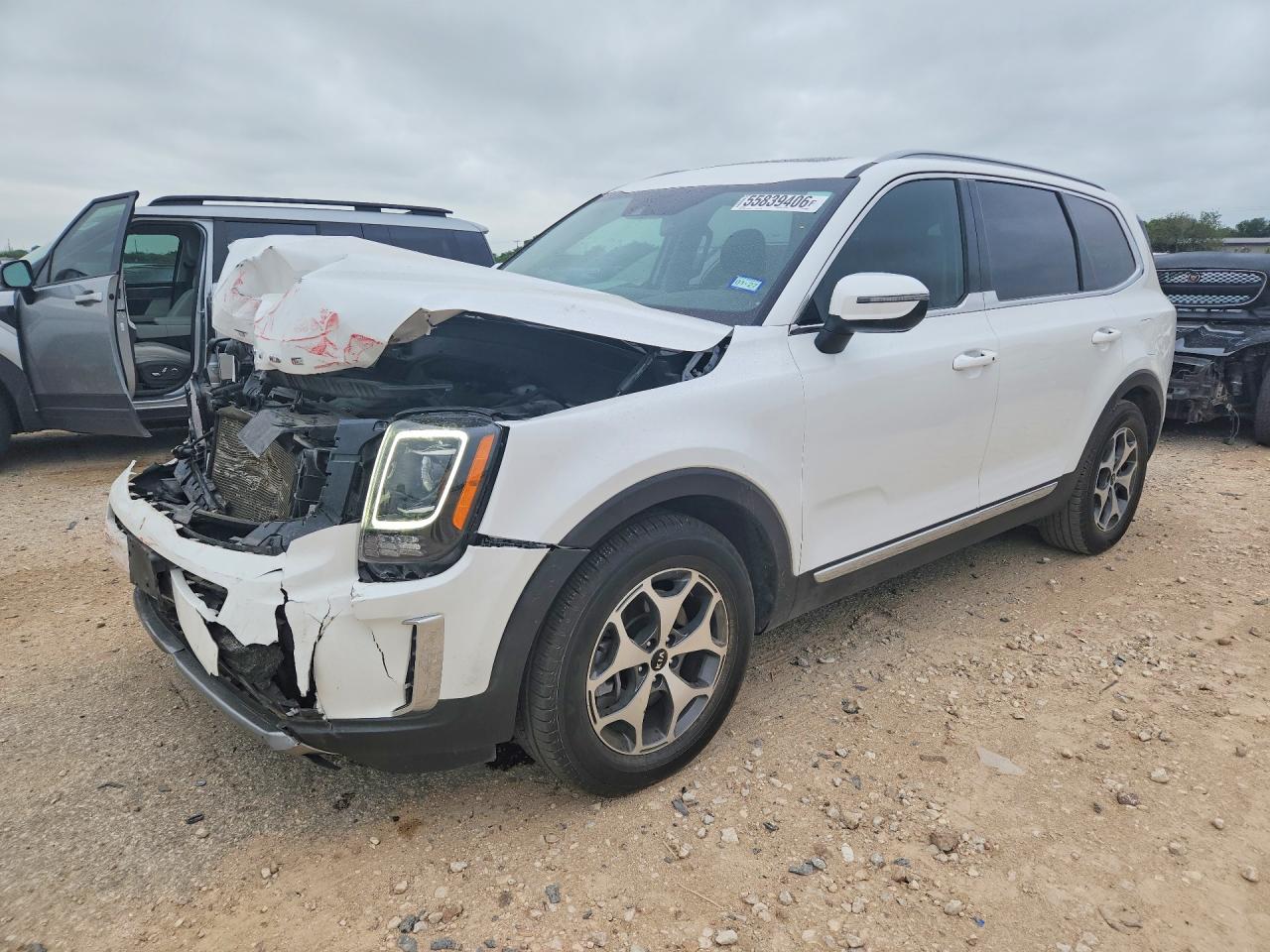 Salvage Kia Telluride Image