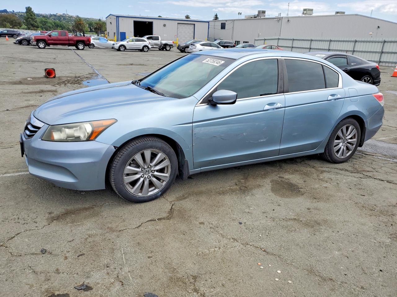 Salvage Honda Accord Image