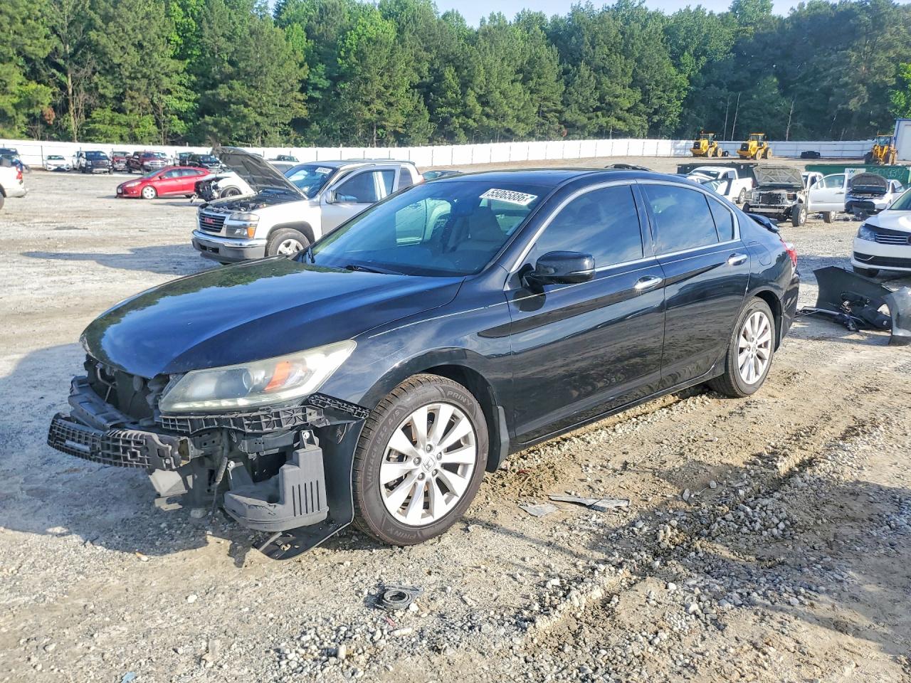 Salvage Honda Accord Image