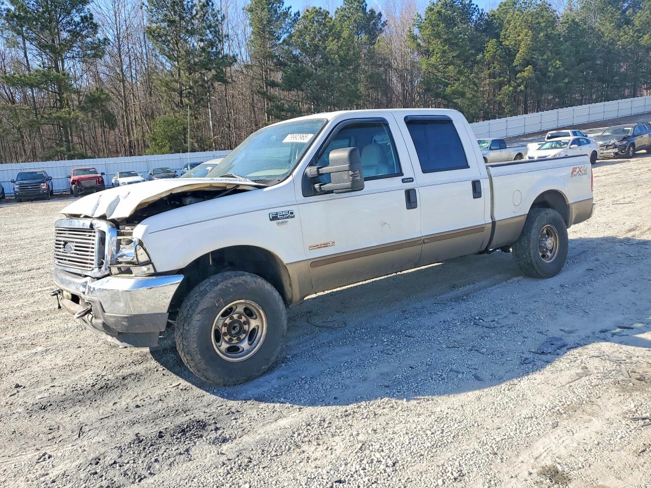 Salvage Ford F-250 Image