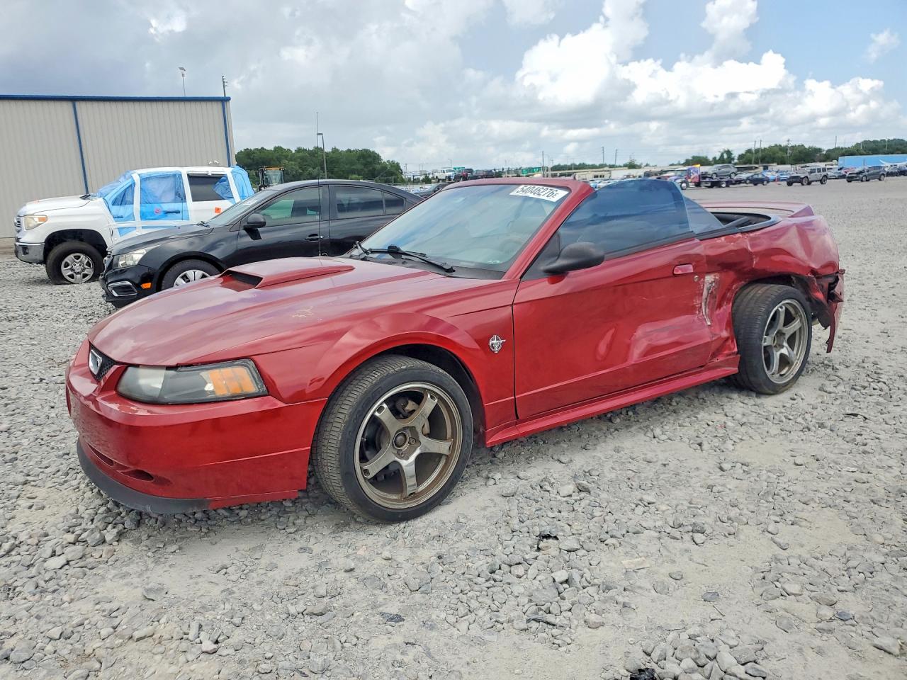 Salvage Ford Mustang Image