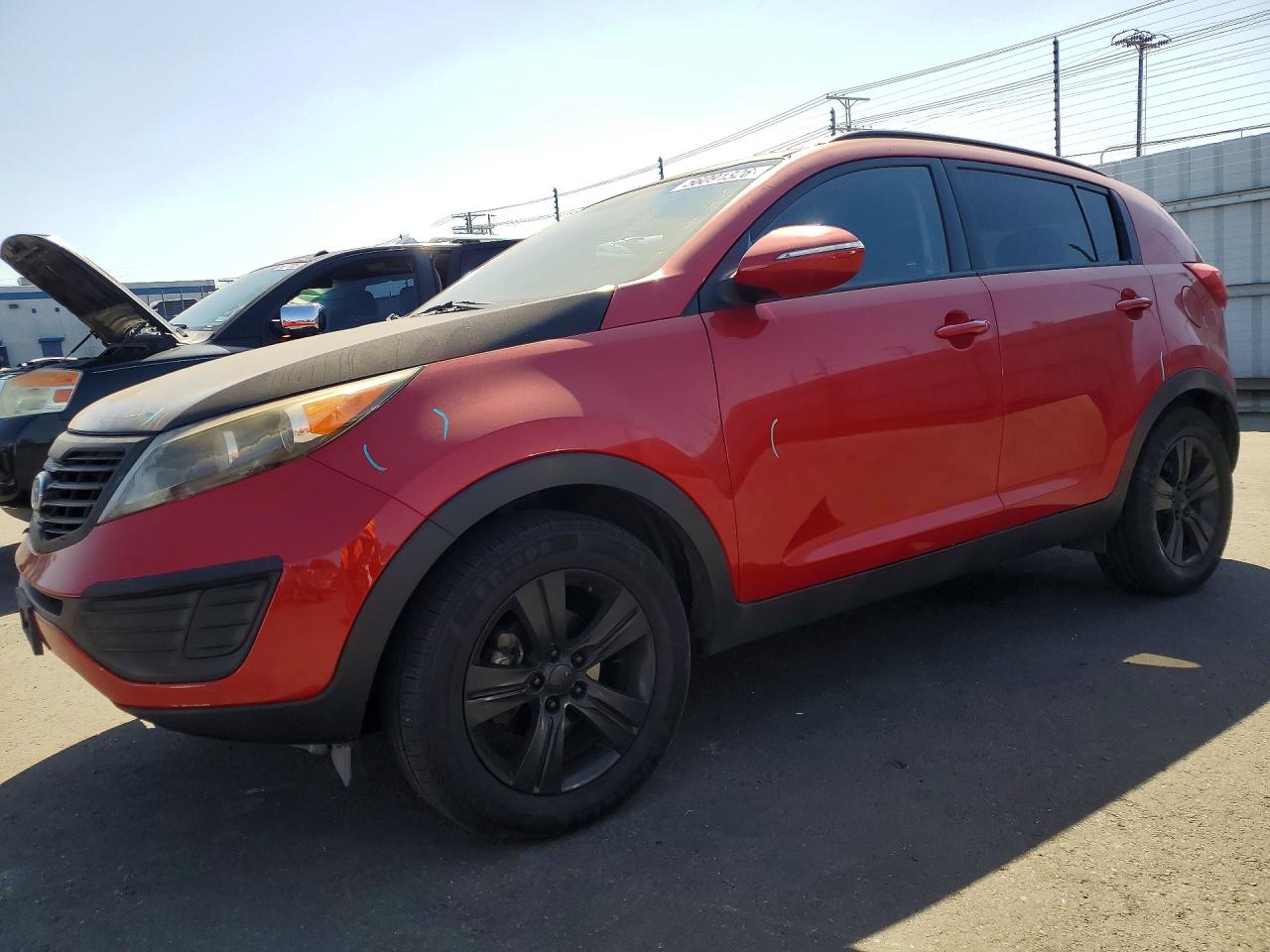 Salvage Kia Sportage Image