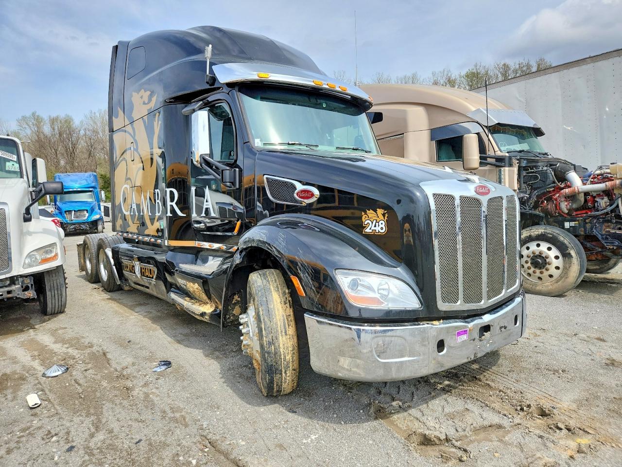 Salvage Peterbilt 579 Image