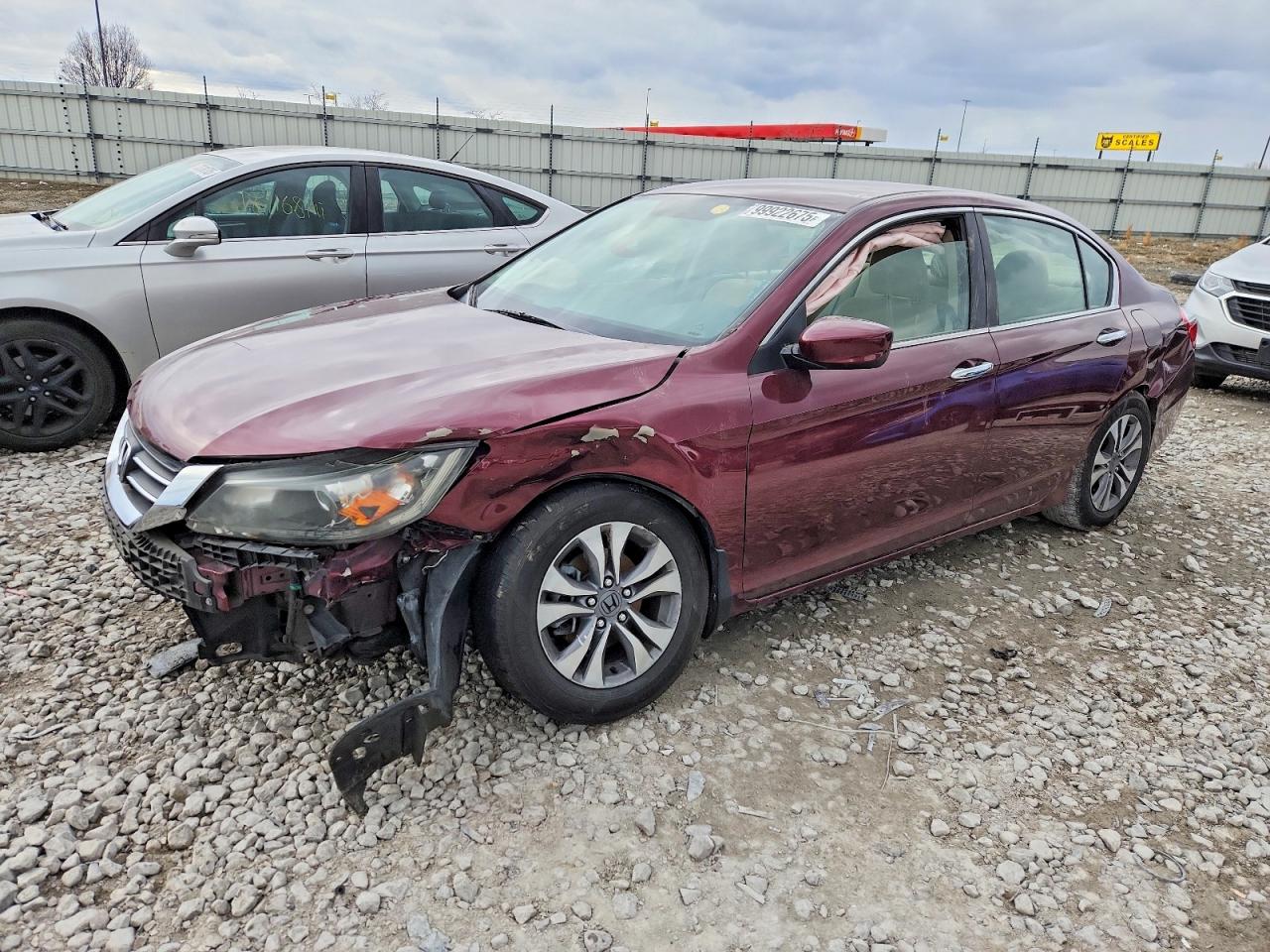 Salvage Honda Accord Image