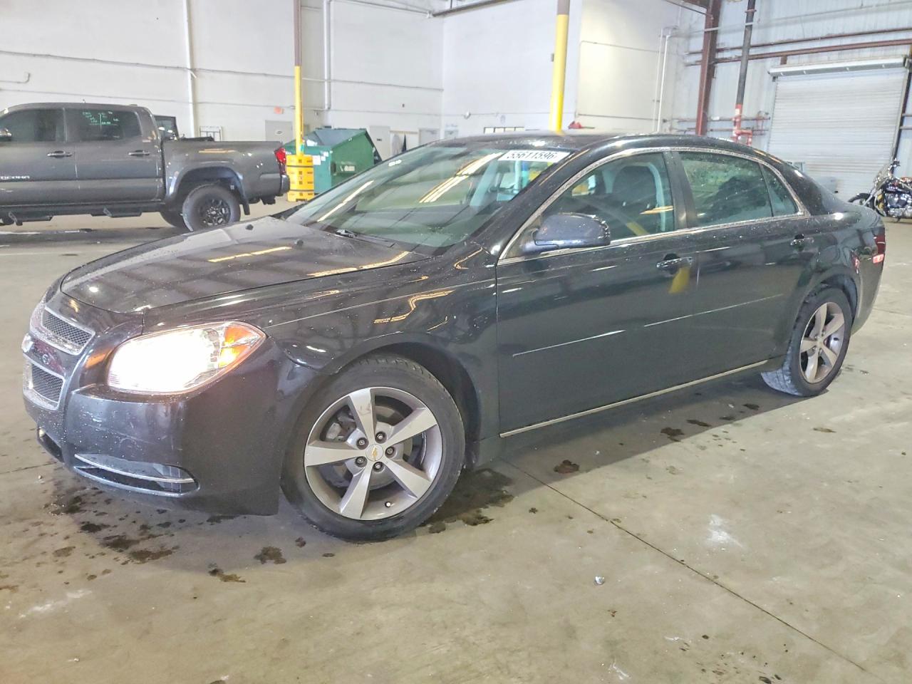 Salvage Chevrolet Malibu Image