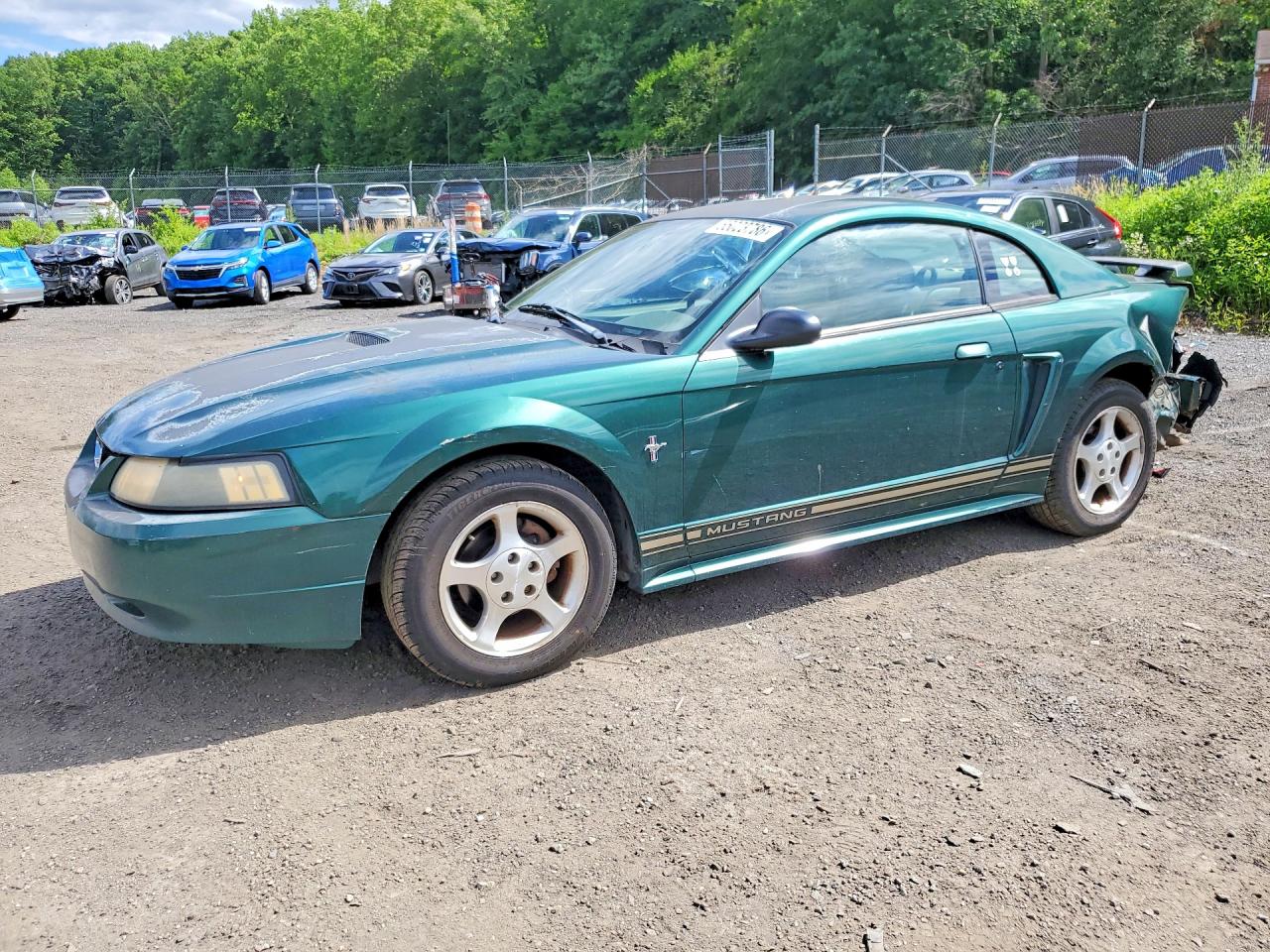 Salvage Ford Mustang Image