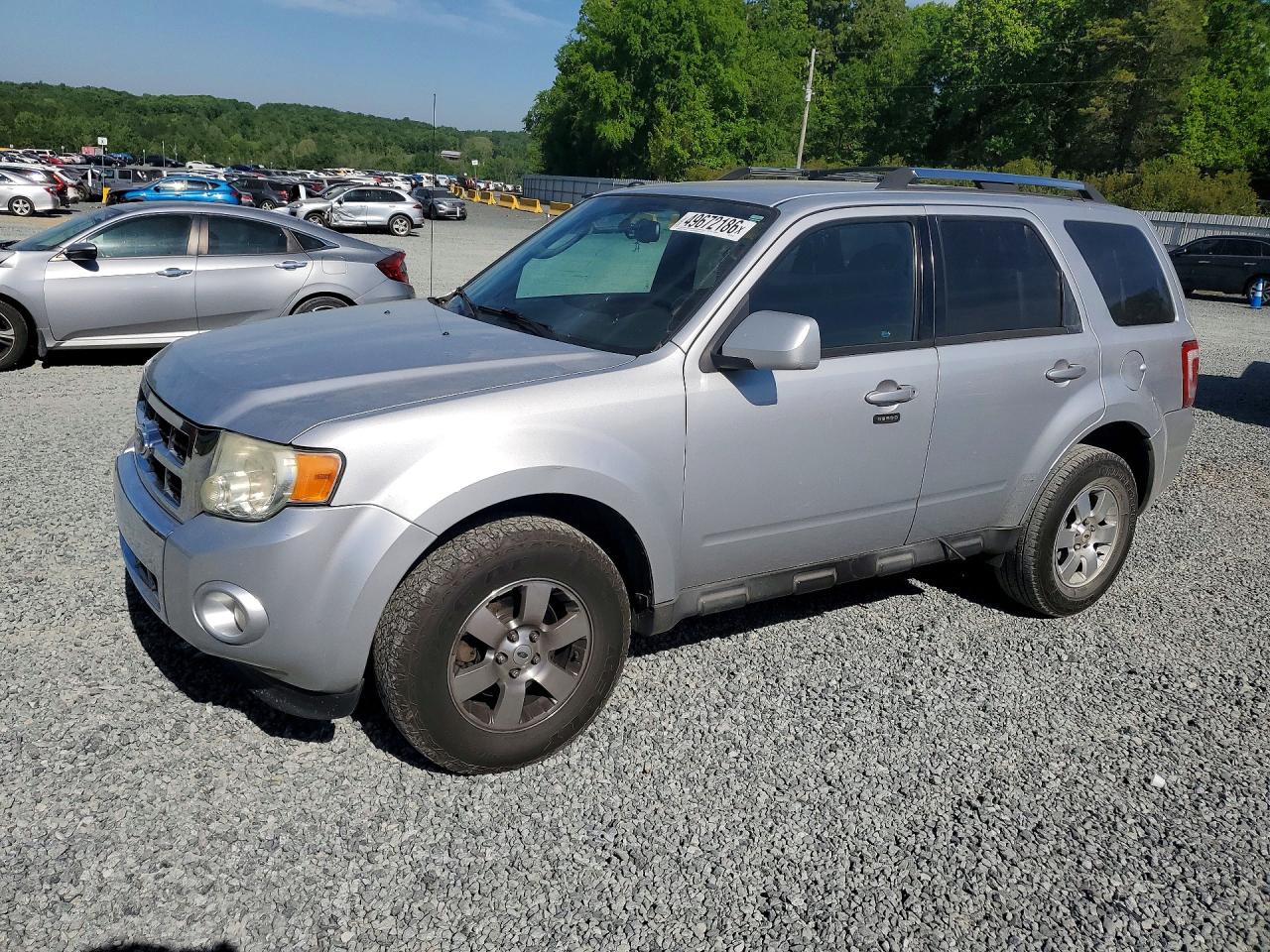 Salvage Ford Escape Image