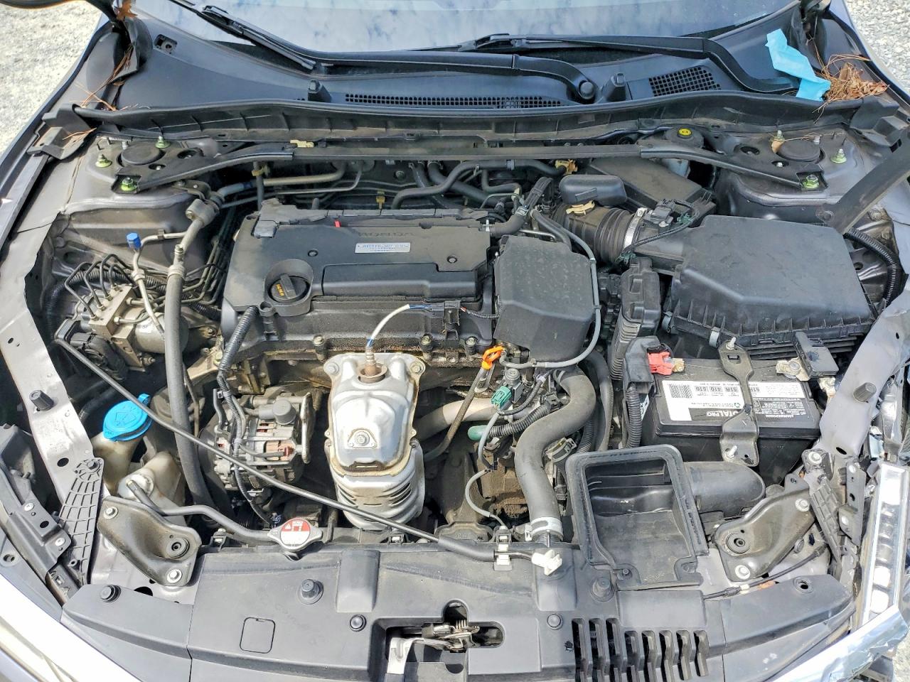 Honda Accord Exl