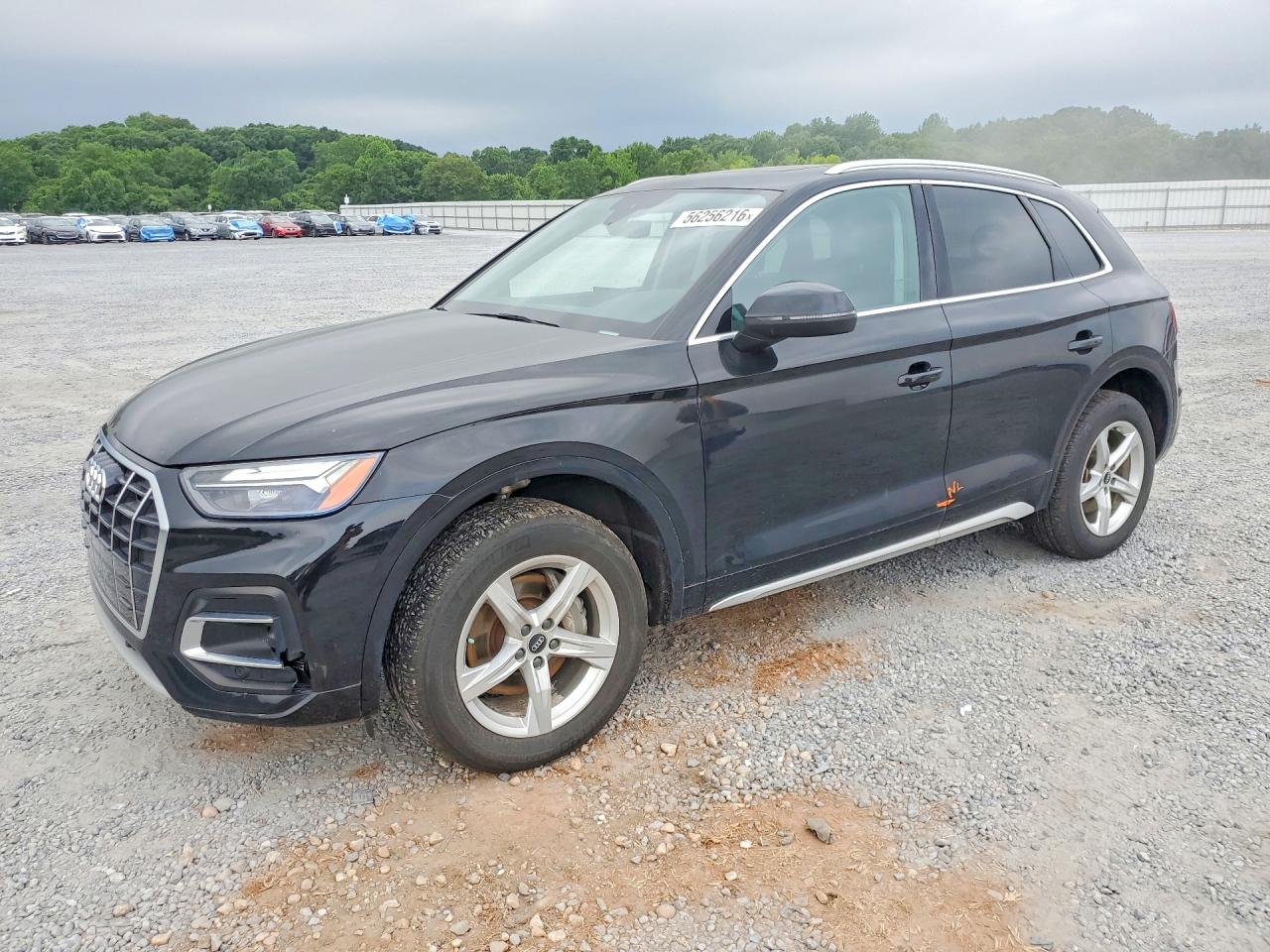 Salvage Audi Q5 Image